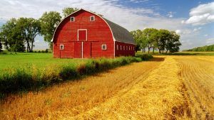 Old red barn