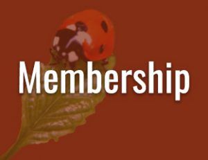 Membership link