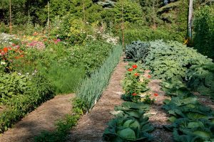 garden garden