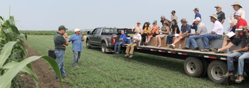 NPSAS and NDSU Carrington organic farm field day